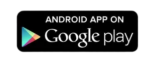 Google Play Store Logo